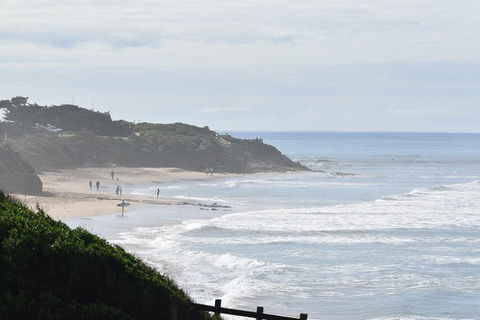 Great Ocean Road Tour Plus Koalas, Forest Walk And Morning Tea. - Accommodation Guide 10