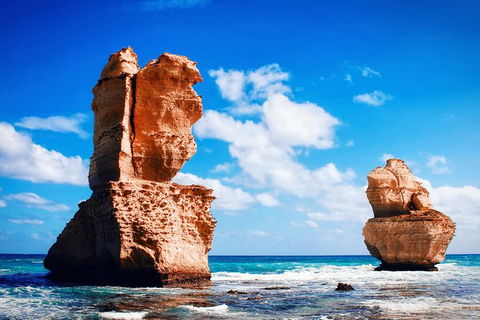 Great Ocean Road Tour Plus Koalas, Forest Walk And Morning Tea. - Accommodation Guide 11