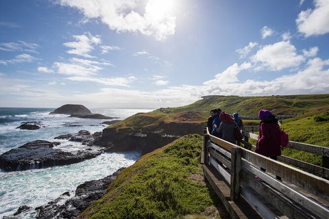 Full-Day Bus Tour Phillip Island Wildlife And Brighton Beach - Accommodation Guide 0