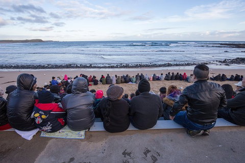 Full-Day Bus Tour Phillip Island Wildlife And Brighton Beach - Accommodation Guide 7