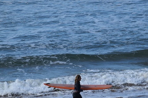 Full-Day Bus Tour Phillip Island Wildlife And Brighton Beach - Accommodation Guide 8