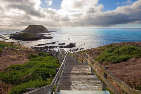 Full-Day Bus Tour Phillip Island Wildlife And Brighton Beach - Accommodation Guide 5