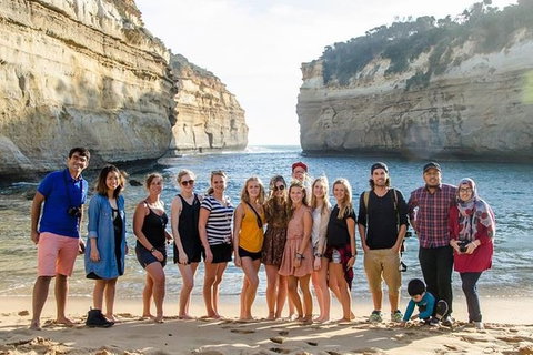 Full-Day Great Ocean Road And 12 Apostles Tour From Melbourne - Accommodation Guide 0