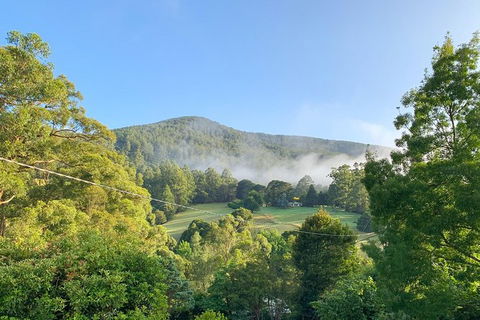 Hiking Tour To Aqueduct And Warburton Valley Lookout - Accommodation Guide 0