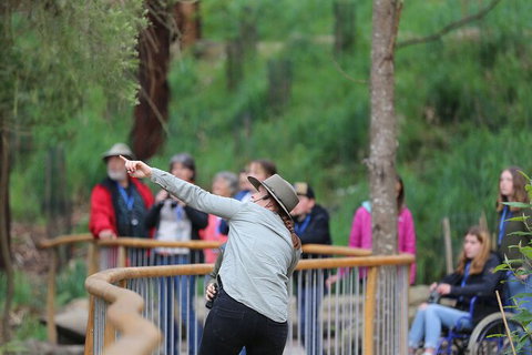 Walk With Wildlife: Guided Tour In Great Ocean Road - Accommodation Asia 0