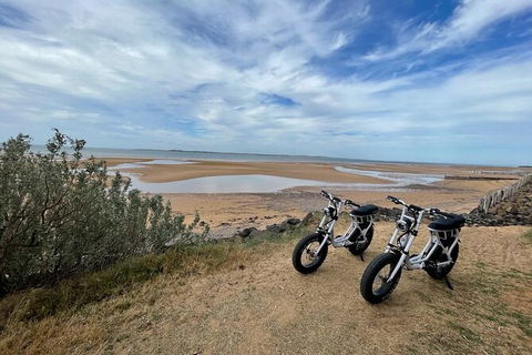 E-Bike Hire Super Cruzer In Phillip Island - Accommodation China 3