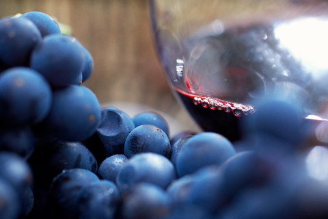 Mornington Peninsula Premium 2-6 Guests Lunch At Merricks General Wine Store - Accommodation China 7