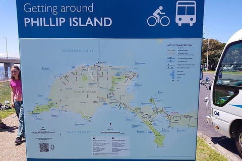 Phillip Island Penguin And Wildlife Tour - Accommodation Asia 28