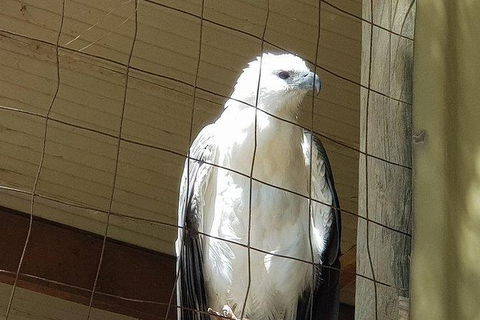 Phillip Island Penguin And Wildlife Tour - Accommodation Asia 21