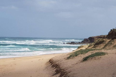 Phillip Island Penguin And Wildlife Tour - Accommodation Asia 10