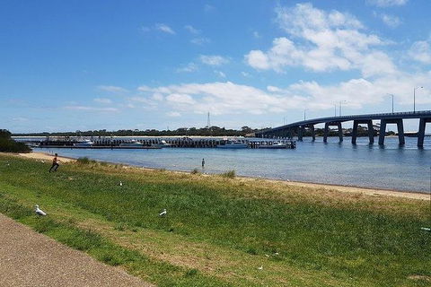 Phillip Island Penguin And Wildlife Tour - Accommodation Asia 24