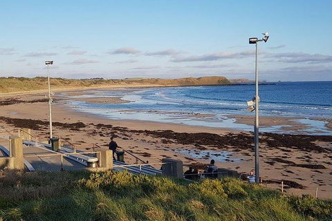 Phillip Island Penguin And Wildlife Tour - Accommodation Asia 8