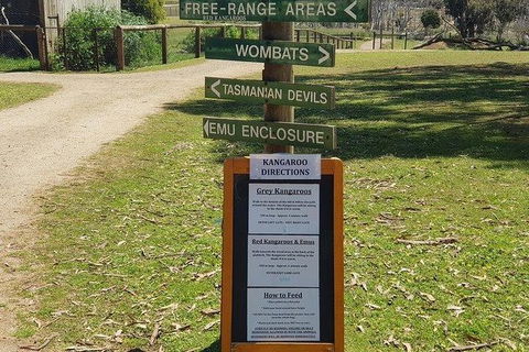 Phillip Island Penguin And Wildlife Tour - Accommodation Asia 4