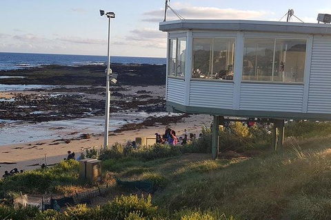 Phillip Island Penguin And Wildlife Tour - Accommodation Asia 33