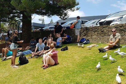 Phillip Island Penguin And Wildlife Tour - Accommodation Asia 22