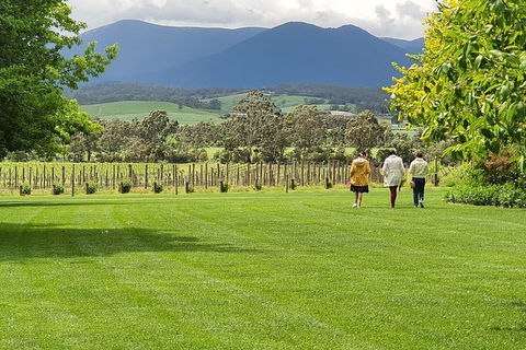 Yarra Valley Wine Tasting Day Tour From Melbourne - Accommodation Asia 6