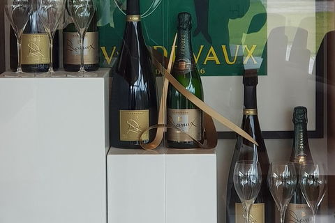 Yarra Valley Wine Tasting Day Tour From Melbourne - Accommodation Asia 2