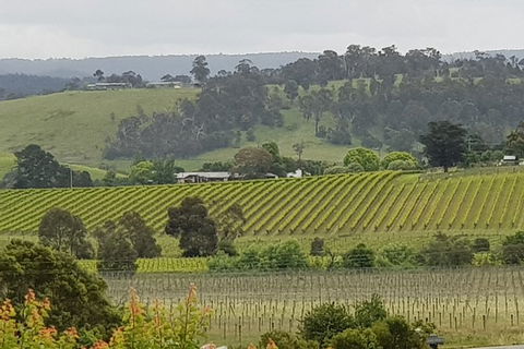 Yarra Valley Wine Tasting Day Tour From Melbourne - Accommodation Asia 0