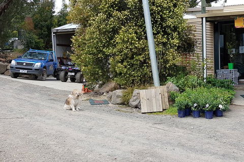 Yarra Valley Wineries And Rayners Orchard Tour From Melbourne - Accommodation Asia 8