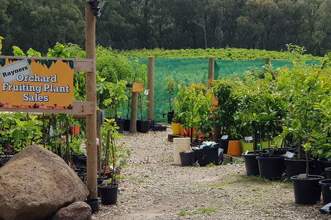 Yarra Valley Wineries And Rayners Orchard Tour From Melbourne - Accommodation Asia 0