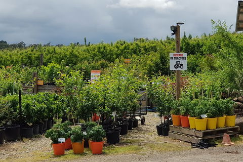 Yarra Valley Wineries And Rayners Orchard Tour From Melbourne - Accommodation Asia 22