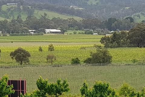 Yarra Valley Wineries And Rayners Orchard Tour From Melbourne - Accommodation Asia 2