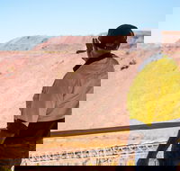 Purnululu Scenic with Argyle Diamond Mine Ground Tour - Accommodation Asia