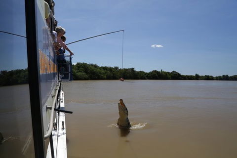 Darwin City Sights And Jumping Crocodile Cruise - Accommodation China 2