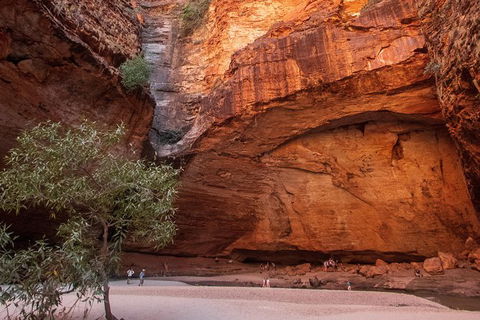 Overnight At Wilderness Lodge: Bungles, Cathedral + Echidna Chasm - Accommodation Asia 3