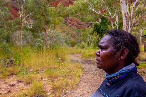 Overnight At Wilderness Lodge: Bungles, Cathedral + Echidna Chasm - Accommodation Asia 6