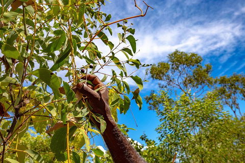 Mitchell Falls And Kimberley Coastal Camp (3night) - Accommodation Asia 2