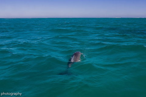Ningaloo Immersion Private Charter - Accommodation Guide 1