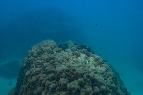 Ningaloo Immersion Private Charter - Accommodation Guide 4