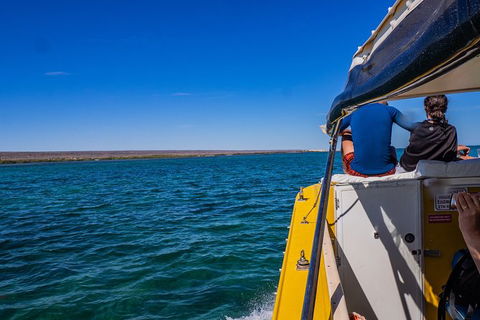 Ningaloo Immersion Private Charter - Accommodation Guide 0