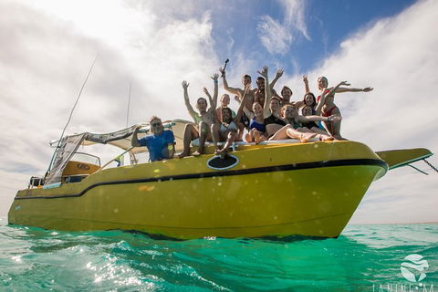 Ningaloo Immersion Private Charter - Accommodation Guide 9