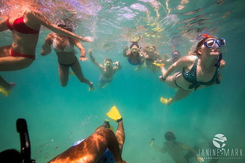 Ningaloo Immersion Private Charter - Accommodation Guide 8