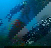 Scuba Dive The Beautiful Rottnest Island