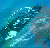 PADI Open Water Course