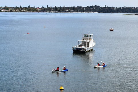 Cliffs And Caves Kayak Tour In Swan River - Accommodation Guide 5