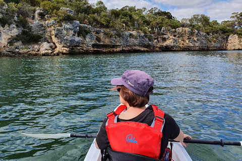 Cliffs And Caves Kayak Tour In Swan River - Accommodation Guide 1