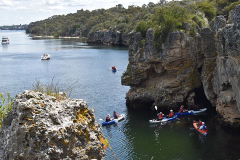 Cliffs And Caves Kayak Tour In Swan River - Accommodation Guide 2