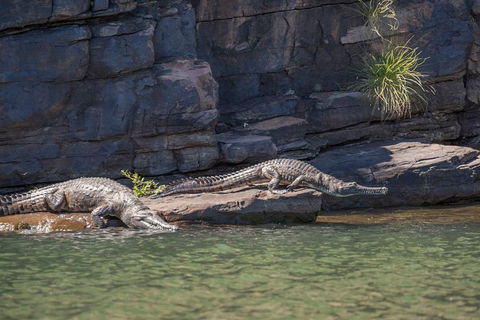 Ord River Discoverer With Sunset - Accommodation Asia 6