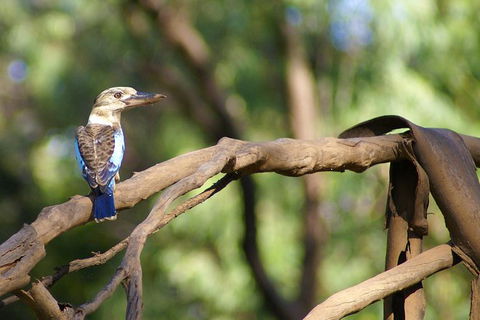 Ord River Experience With Riverside Lunch - Accommodation Asia 1