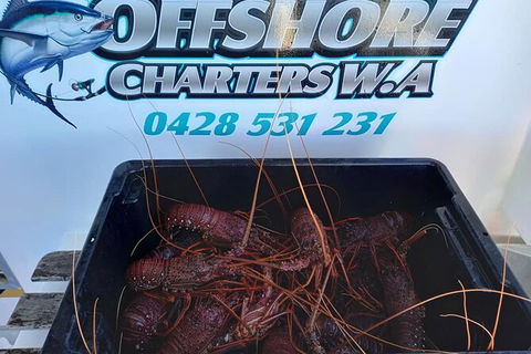 Lobster Fishing Tour At Geraldton - Accommodation China 0