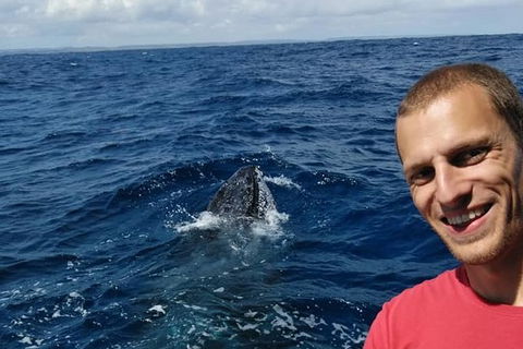 Whale Watching Boat Tour In Geraldton - Accommodation China 2