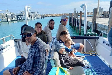 Whale Watching Boat Tour In Geraldton - Accommodation China 1