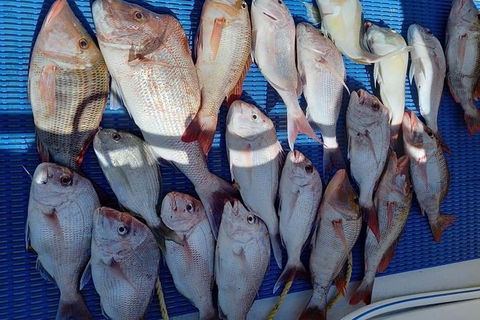 Geraldton Fishing Charter - Accommodation China 7