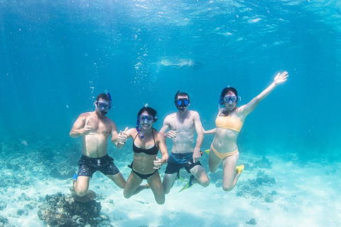 Full-Day Whale Sharks Swimming Experience On Ningaloo Reef - Accommodation Guide 5