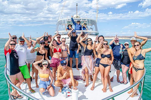 Full-Day Whale Sharks Swimming Experience On Ningaloo Reef - Accommodation Guide 1