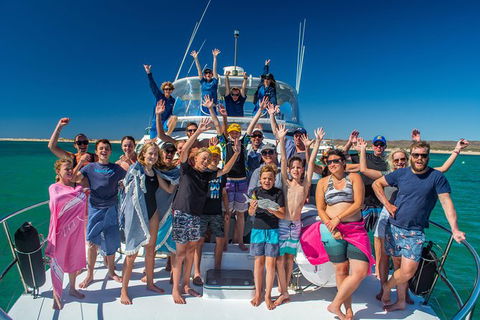 Full-Day Whale Sharks Swimming Experience On Ningaloo Reef - Accommodation Guide 15